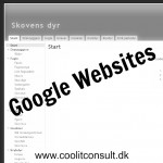 Google websites www.coolitconsult.dk